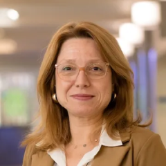 Organizations Maturity Adoption Models Practices Technology