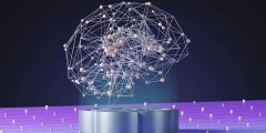 Content Brands Discovery Search Brand Traffic